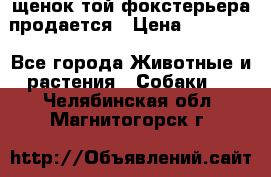 щенок той-фокстерьера продается › Цена ­ 25 000 - Все города Животные и растения » Собаки   . Челябинская обл.,Магнитогорск г.